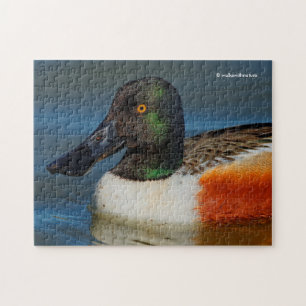 Quebra-cabeça Fechamento de um Pato Shoveler Norte bonito