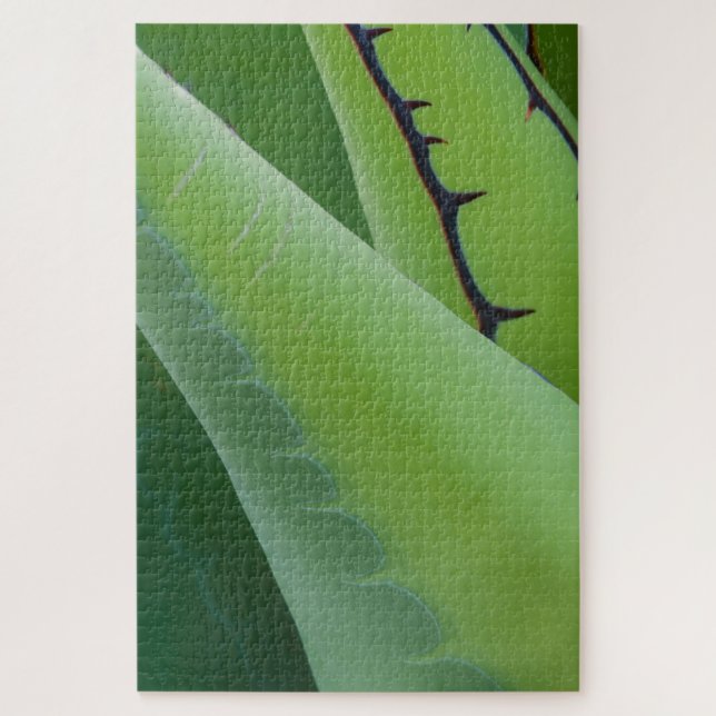 Quebra-cabeça Fechar Agave (Vertical)