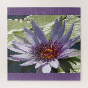Quebra-cabeça Fechar Quebra-cabeça: Flor de Lotus Puro