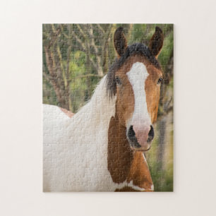 Quebra-cabeça Fechar um Cavalo de Pintura