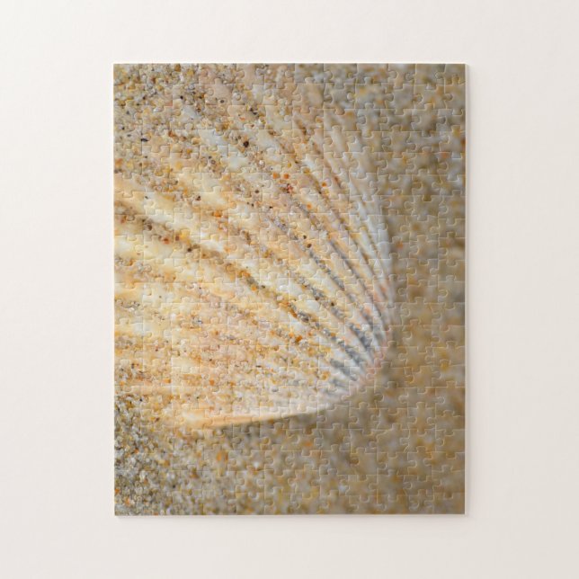 Quebra-cabeça Feche o Cockle SeaShell na areia na praia (Vertical)