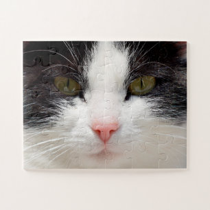 Quebra-cabeça Feche o rosto do gato, fácil