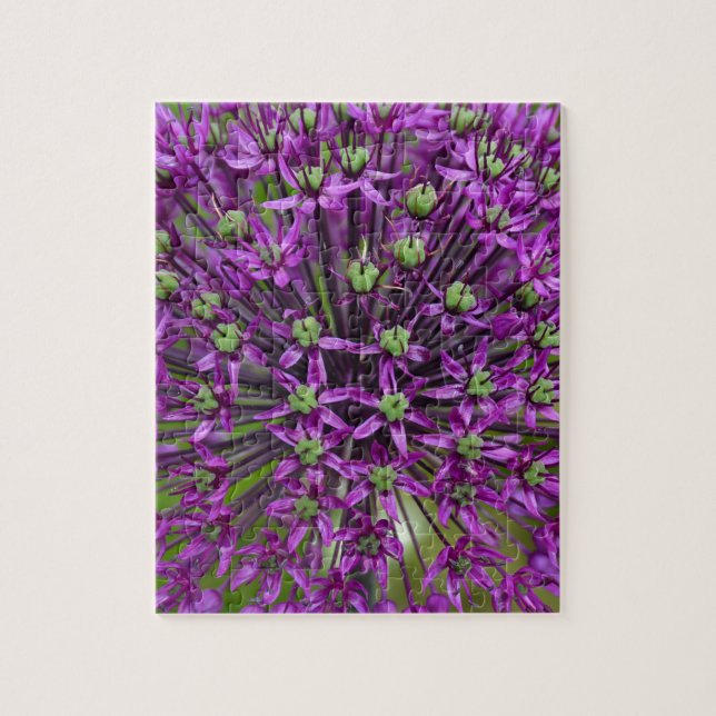 Quebra-cabeça Fecho da flor de allium púrpura (Vertical)