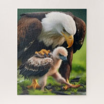 Feliz Dia dos Pais Pai Americano Como uma Águia