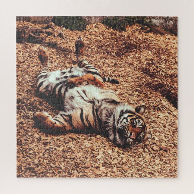 Quebra-cabeça Feliz Tiger Belly em Folhas (Vertical)