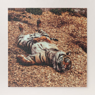 Quebra-cabeça Feliz Tigre Belly em Folhas
