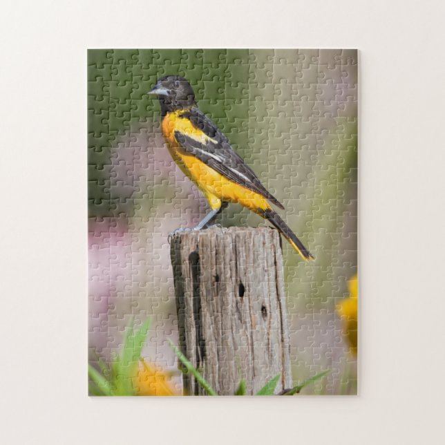 Quebra-cabeça Fêmea de Baltimore Oriole em jardim de flores (Vertical)