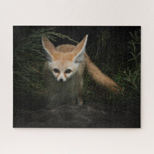 Quebra-cabeça Fennec Fox