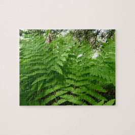 Quebra-cabeça Fern Fronds IV Natureza Verde Botânica
