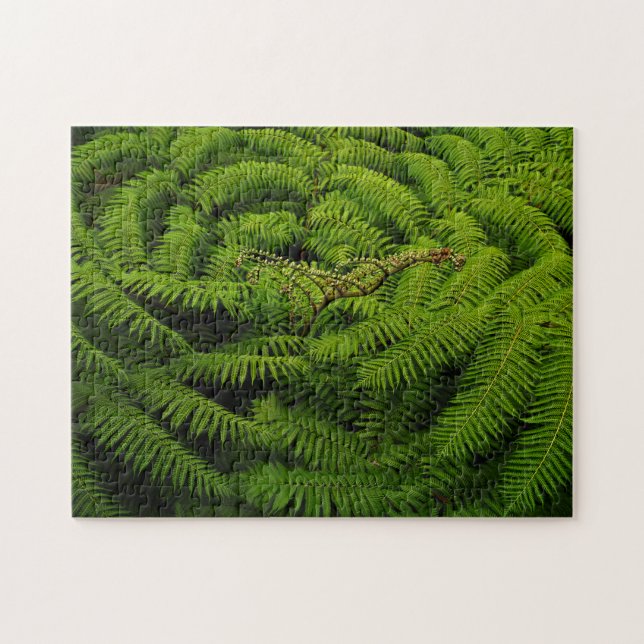 Quebra-cabeça Fern Leaves (Horizontal)