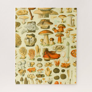 Quebra-cabeça Ferramentas de Vintagem de Cogumelo Arte Botânica
