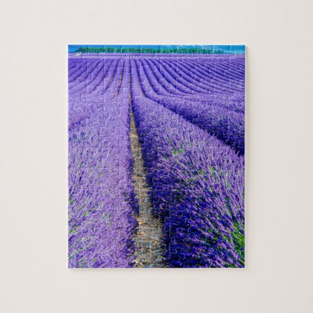 Quebra-cabeça Fileiras de Lavanda, Provença, França (Vertical)