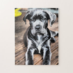 Quebra-cabeça filhote de cachorro 2.png do corso do bastão