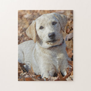 Quebra-cabeça Filhote de cachorro amarelo novo de labrador