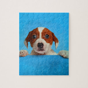 Quebra-cabeça Filhote de cachorro bonito de Jack Russell Terrier
