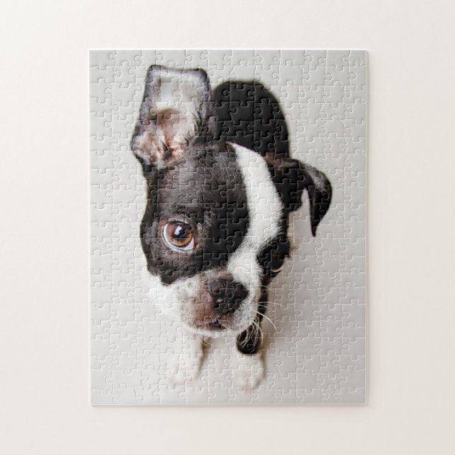 Quebra-cabeça Filhote de cachorro de Edison Boston Terrier (Vertical)