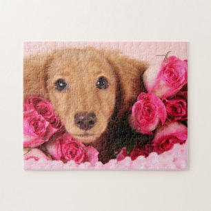 Quebra-cabeça Filhote de cachorro do Dachshund cercado por rosas