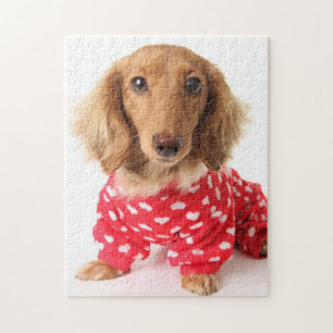 Quebra-cabeça Filhote de cachorro do Dachshund que veste o