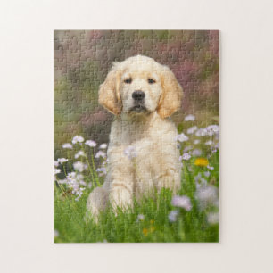 Quebra-cabeça Filhote de cachorro do golden retriever um Goldie