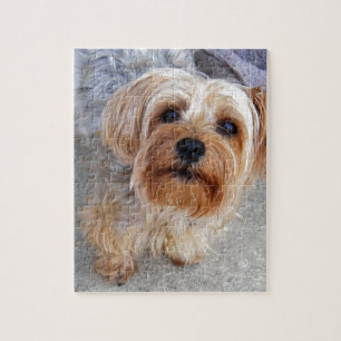 Quebra-cabeça Filhote de cachorro feliz de Yorkie