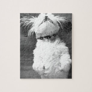 Quebra-cabeça Filhote de cachorro preto e branco de Shih-Tzu