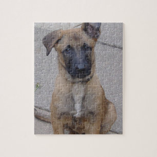 Quebra-cabeça filhote de cachorro sitting.png dos malinois