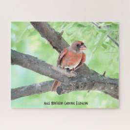 Quebra-cabeça Filhote de Cardinal Macho, amante de pássaros
