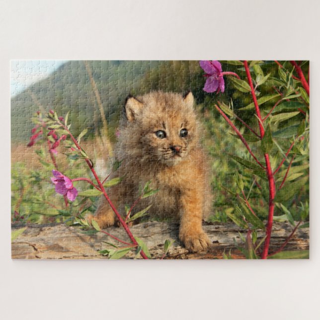 Quebra-cabeça Filhote de Lince Canadense, Alasca (Horizontal)