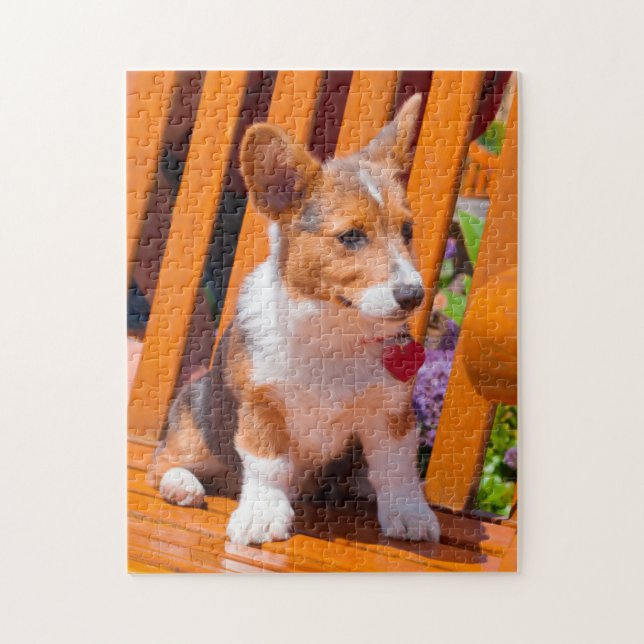 Quebra-cabeça Filhote de Pembroke Welsh Corgi sentado em um banc (Vertical)