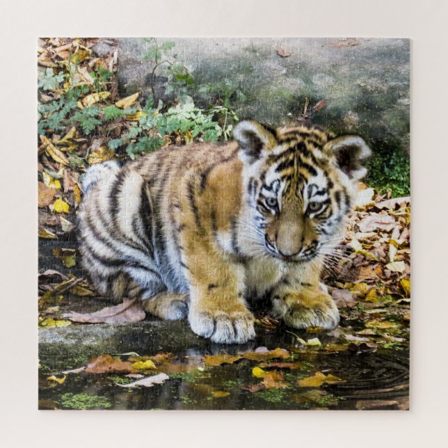 Quebra-cabeça Filhote de Tigre Bebê Adorável (Vertical)