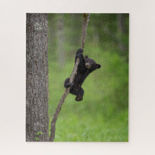 Quebra-cabeça Filhote de Urso Negro brincando em Galho de Árvore