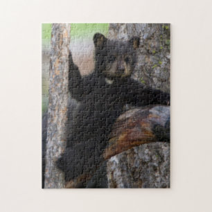 Quebra-cabeça Filhote de Urso Negro Relaxando