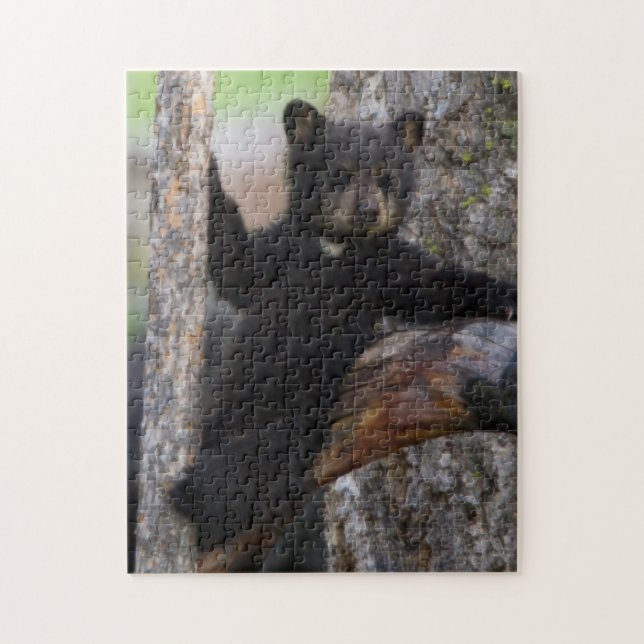Quebra-cabeça Filhote de Urso Negro Relaxando (Vertical)