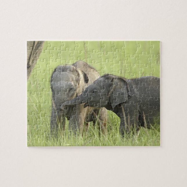 Quebra-cabeça Filhotes de Elefante Indiano / Asiático (Horizontal)