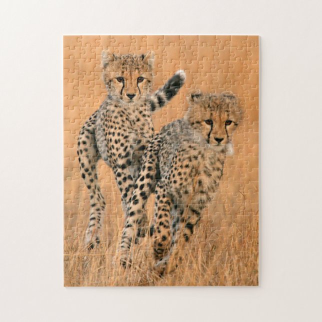 Quebra-cabeça Filhotes de Guepardos (Acinonyx Jubatus) Correndo (Vertical)