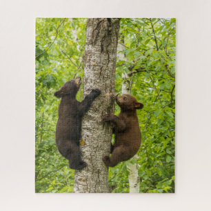Quebra-cabeça Filhotes de Urso Negro Subindo em Árvore