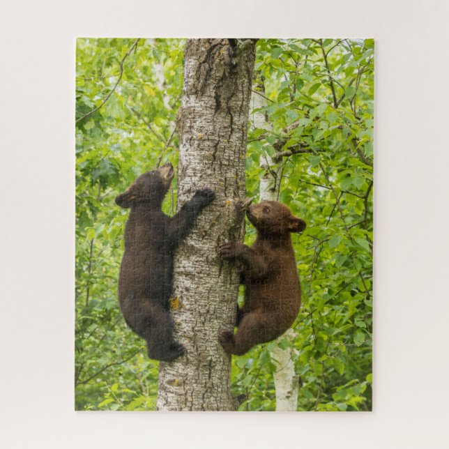 Quebra-cabeça Filhotes de Urso Negro Subindo em Árvore (Vertical)