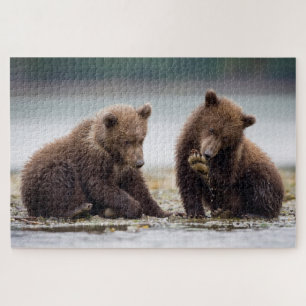 Quebra-cabeça Filhotes de Urso Pardo pelo Córrego