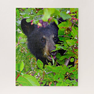 Quebra-cabeça Filhotes de Urso Preto.