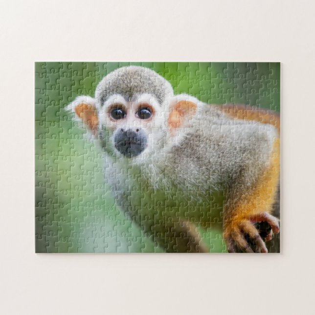 Quebra-cabeça Fim-acima de um macaco de esquilo comum (Horizontal)