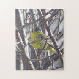 Quebra-cabeça - Finch Amarelo em ramificações