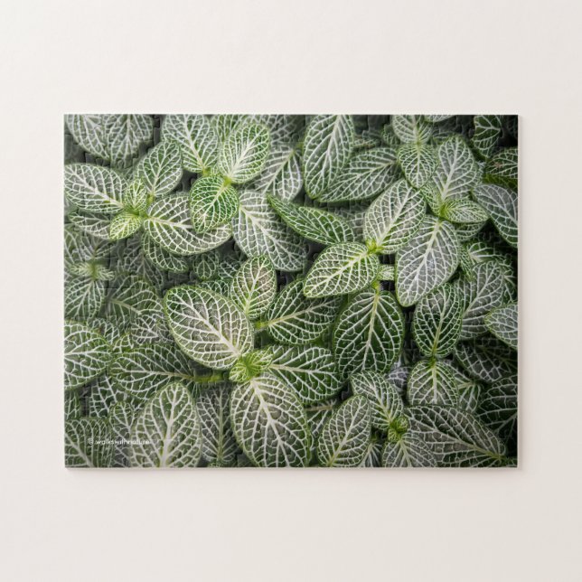Quebra-cabeça Fittonia Mosaica com Folhas Variadas (Horizontal)