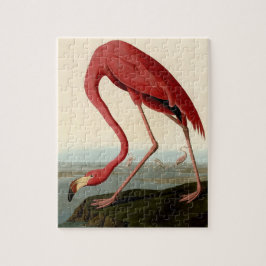Quebra-cabeça Flamingo Americano de Audubon
