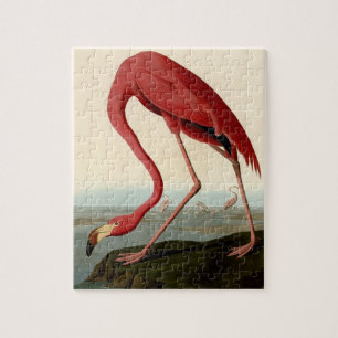 Quebra-cabeça Flamingo Americano de Audubon