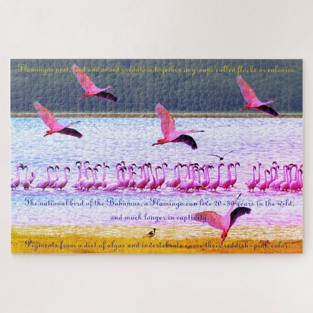 Quebra-cabeça Flamingo Fun 20"x30" - 1.014 Piece (Horizontal)