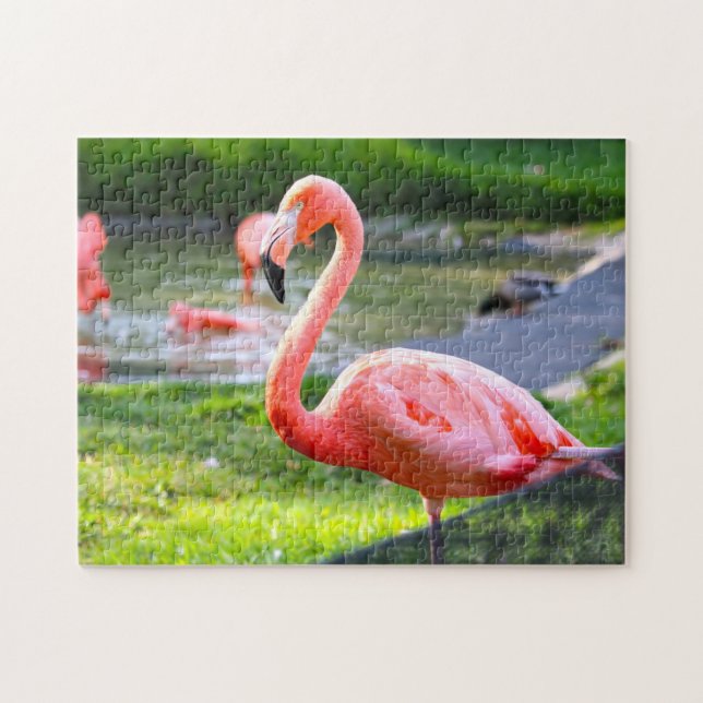 Quebra-cabeça Flamingo Rosa Califórnia. (Horizontal)