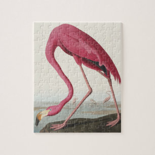 Quebra-cabeça Flamingo rosa das aves da América