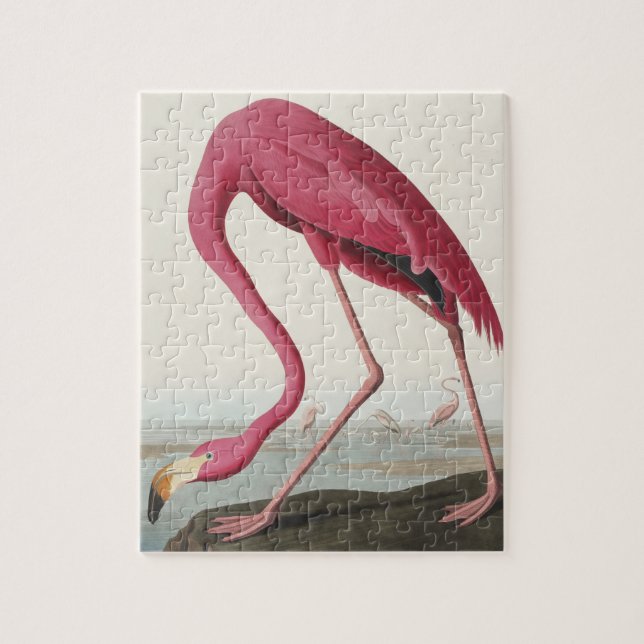 Quebra-cabeça Flamingo rosa das aves da América (Vertical)