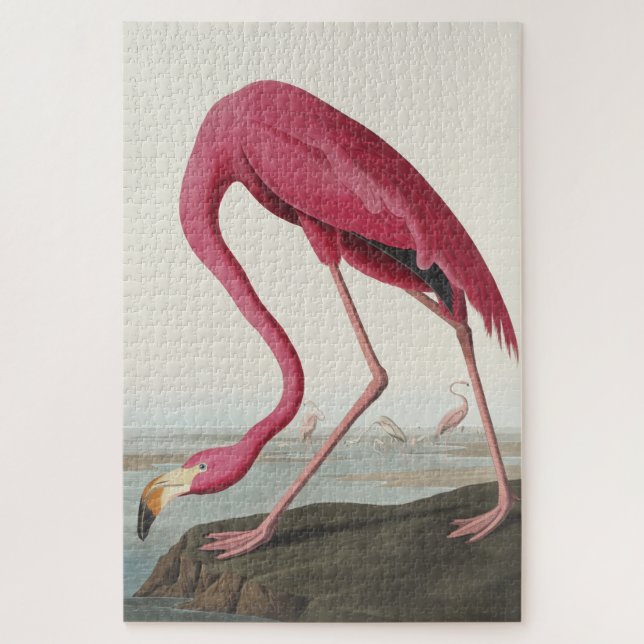 Quebra-cabeça Flamingo rosa das aves da América (Vertical)