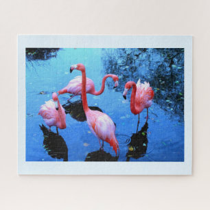 Quebra-cabeça flamingos dançantes